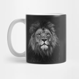 Lion | Unique Beautiful Travelling Home Decor | Phone Cases Stickers Wall Prints | Scottish Travel Photographer  | ZOE DARGUE PHOTOGRAPHY | Glasgow Travel Photographer Mug